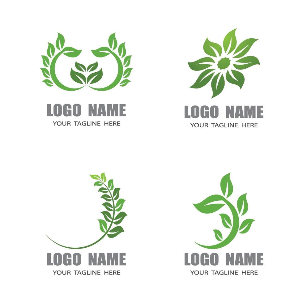plantillas de logotipo de naturaleza de hoja vector