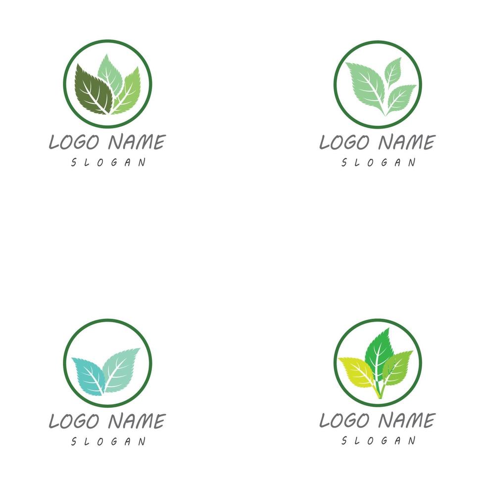 Leaf nature logo templates vector