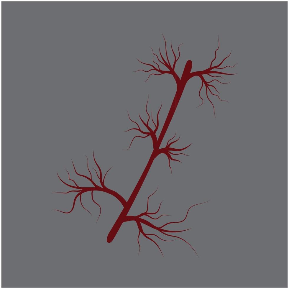 red human veins artery vector