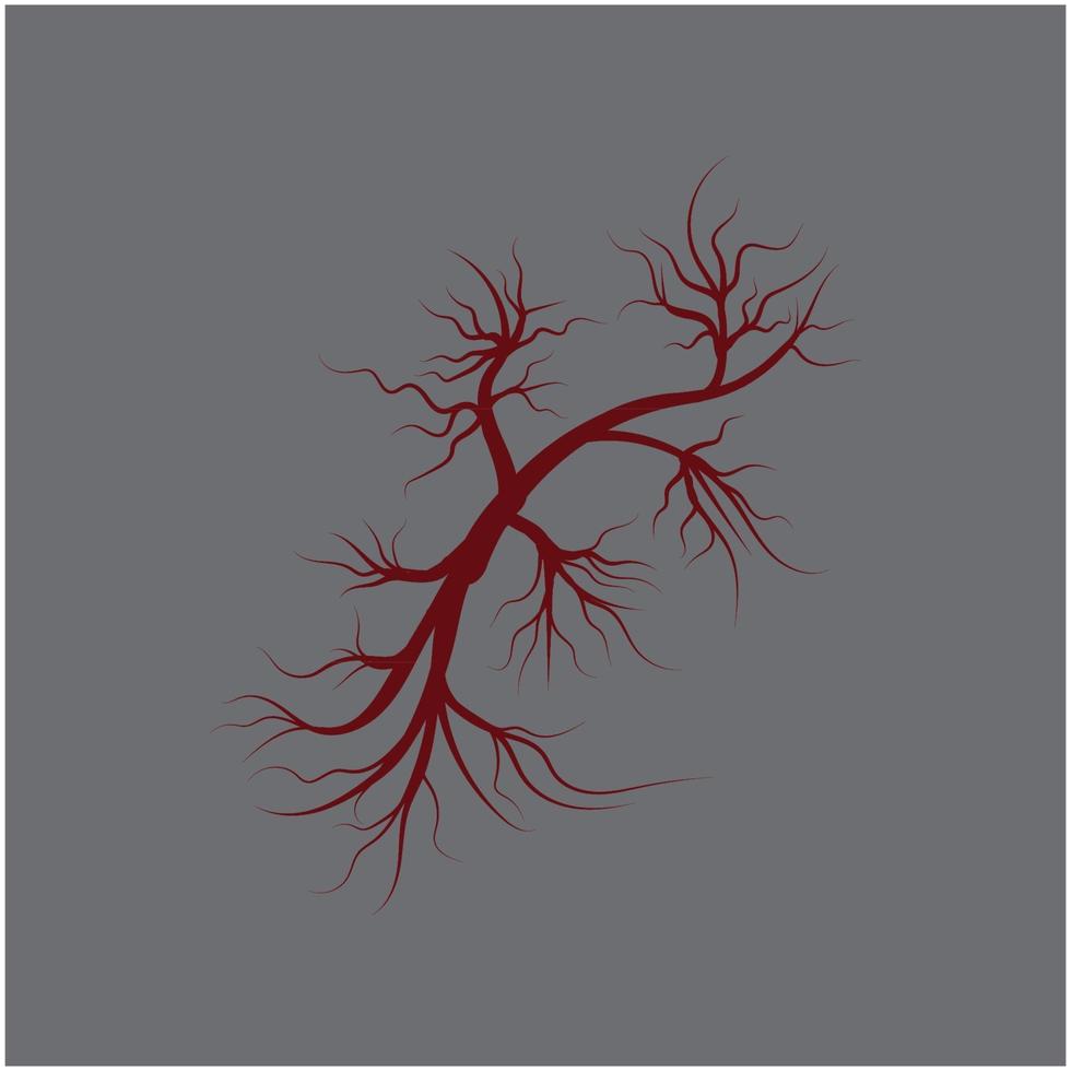 red human veins artery vector