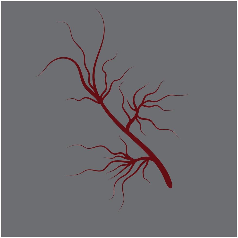 red human veins artery vector