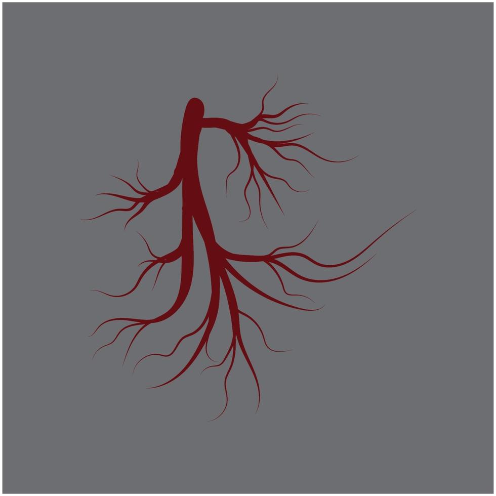 red human veins artery vector
