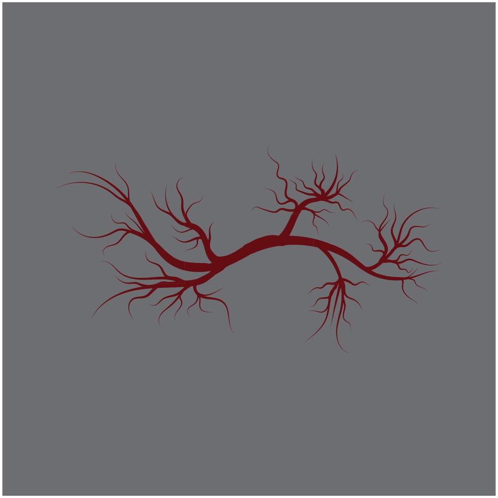 red human veins artery vector