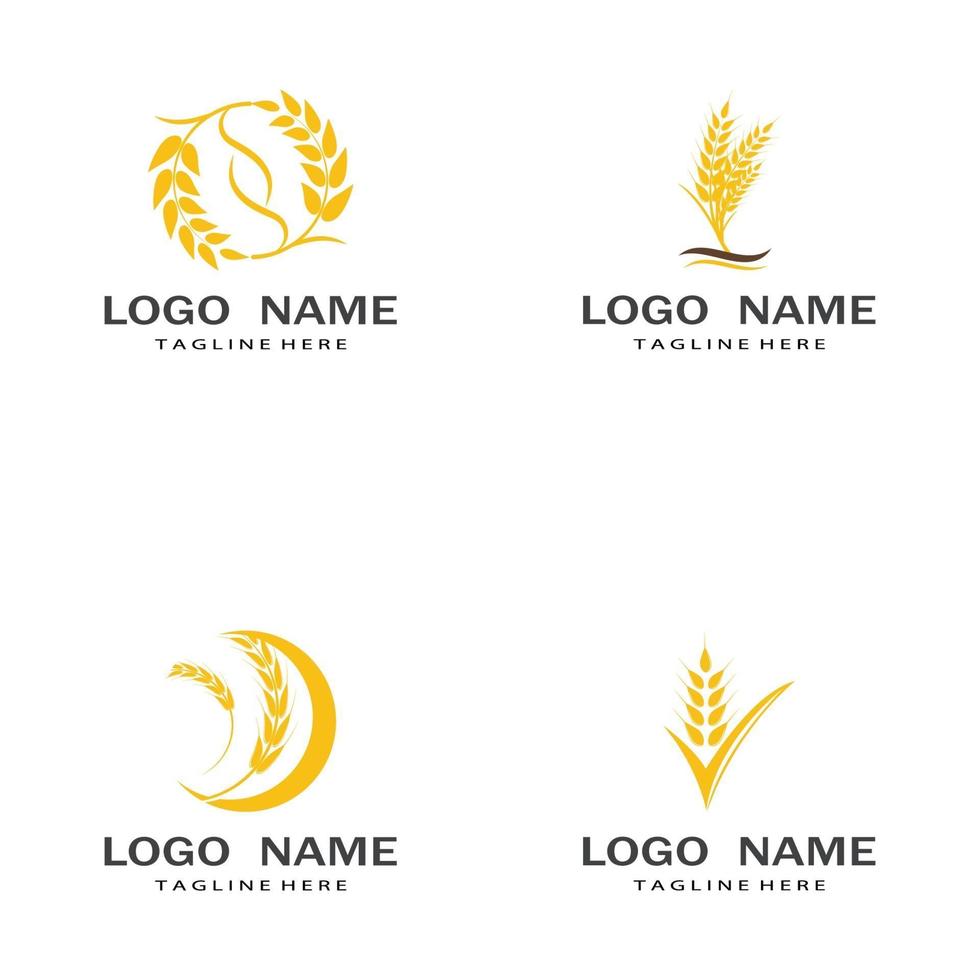 Agriculture wheat vector icon design