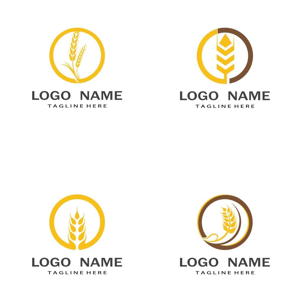 Agriculture wheat vector icon design