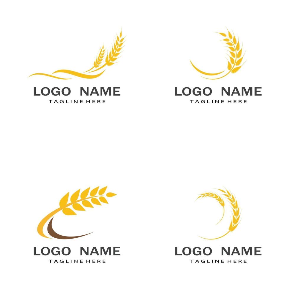 Agriculture wheat vector icon design