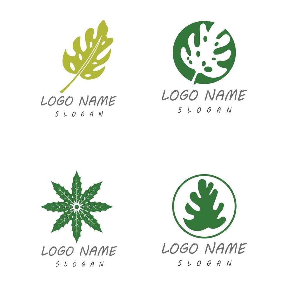 diseño de vector de logotipo de hoja de monstera