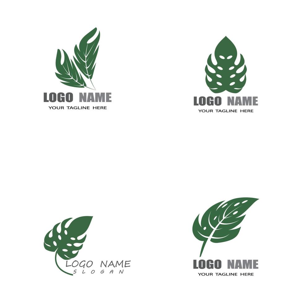 Monstera leaf logo vector design