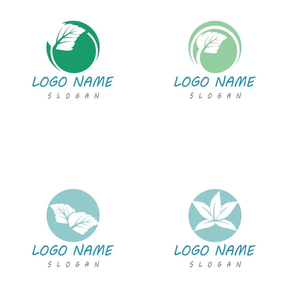 Mint leaf logo template vector