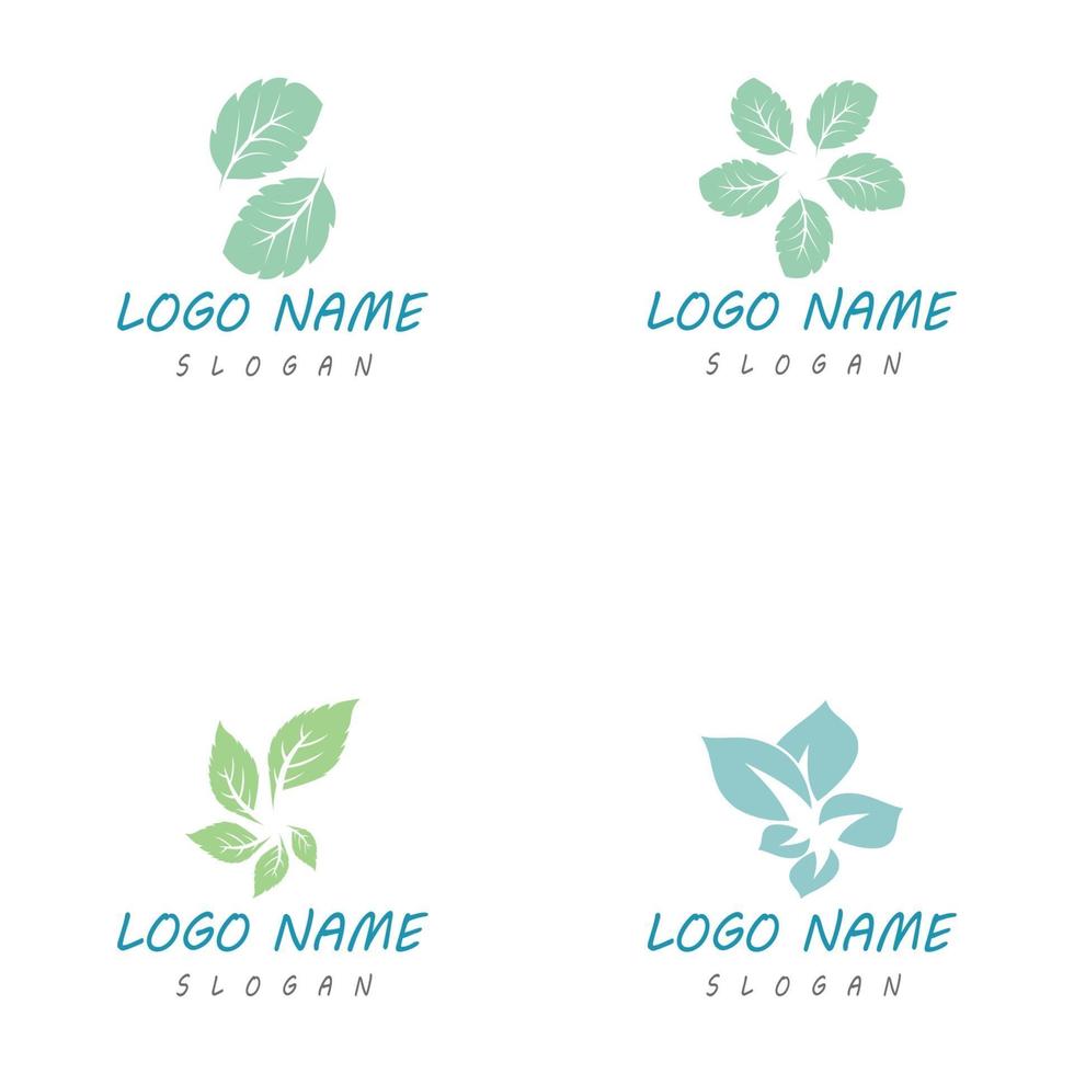 Mint leaf logo template vector