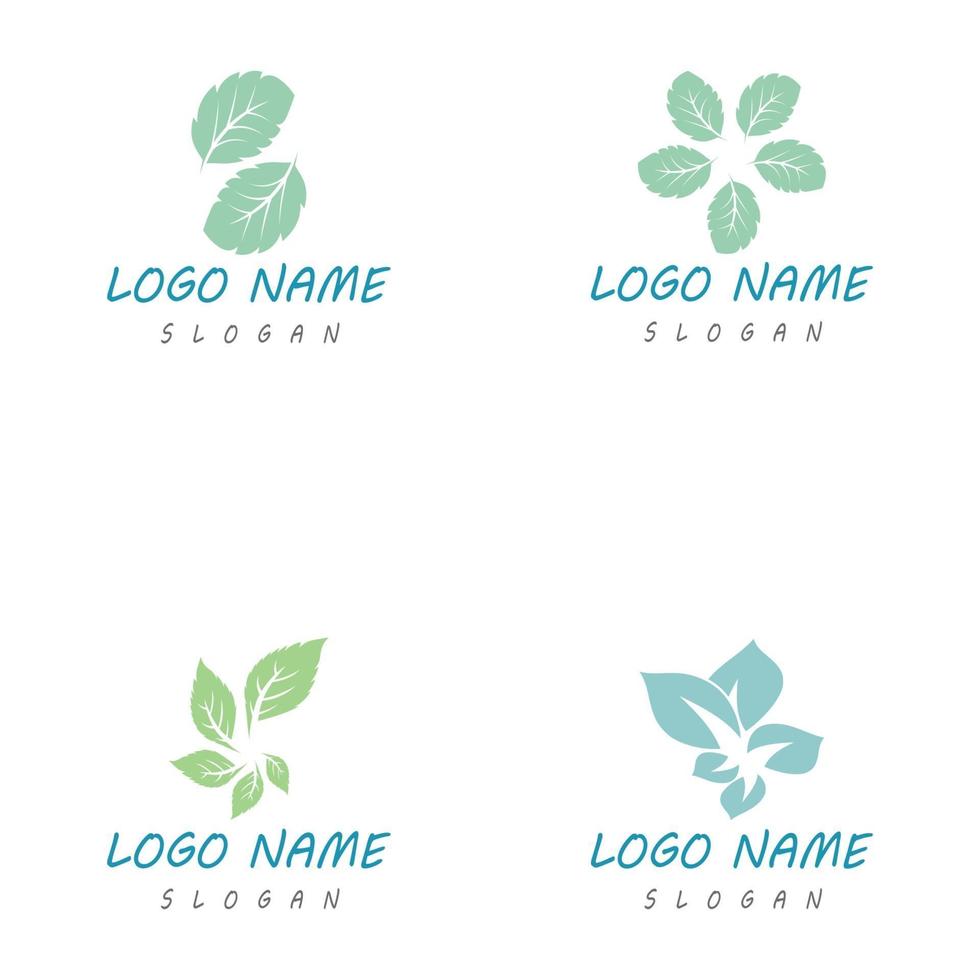 plantilla de logotipo de hoja de menta vector