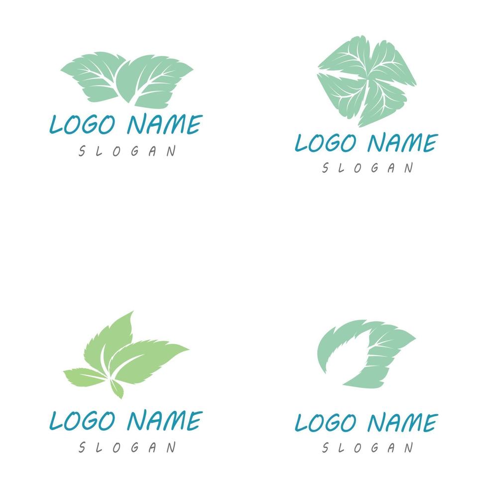Mint leaf logo template vector