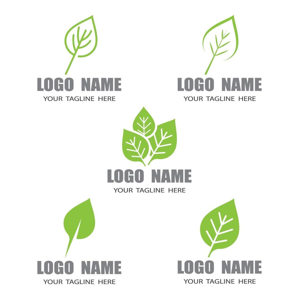 Mint leaves vector icons