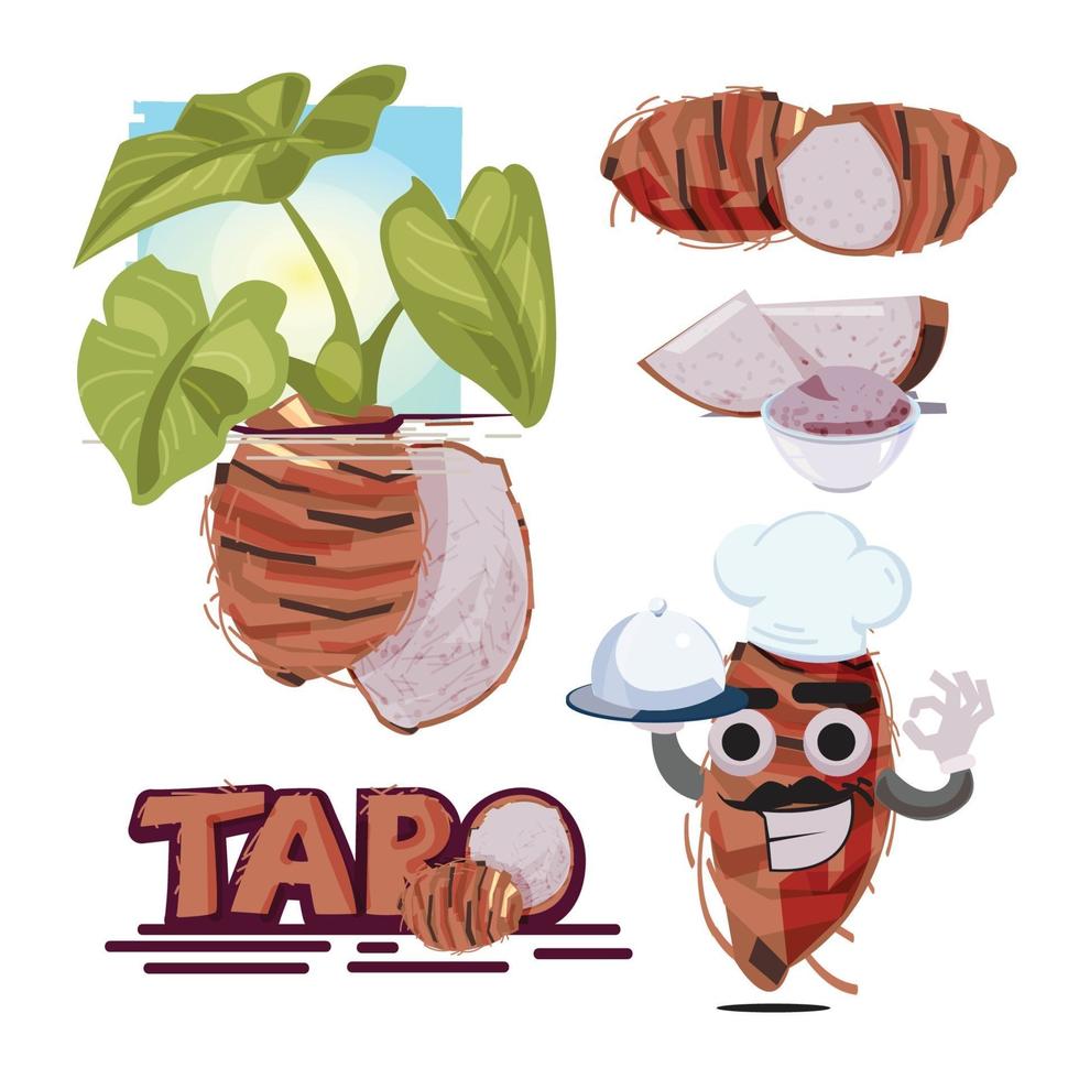 vector de raíz de taro. planta de taro. rodaja de taro.