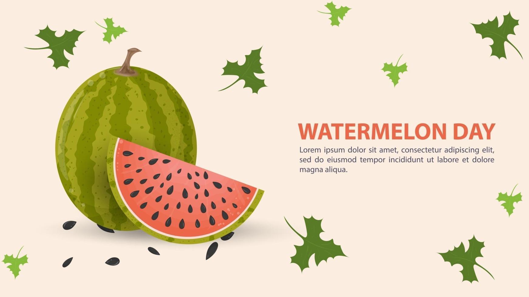 Watermelon day design with slice of fruit vector