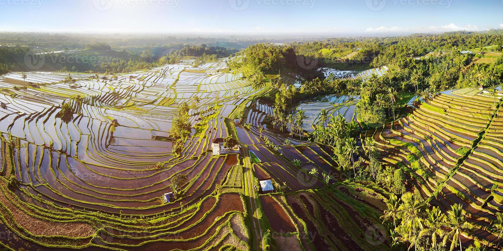 vista aérea de las terrazas de arroz de bali. los hermosos y espectaculares campos de arroz de jatiluwih en el sureste de bali. foto