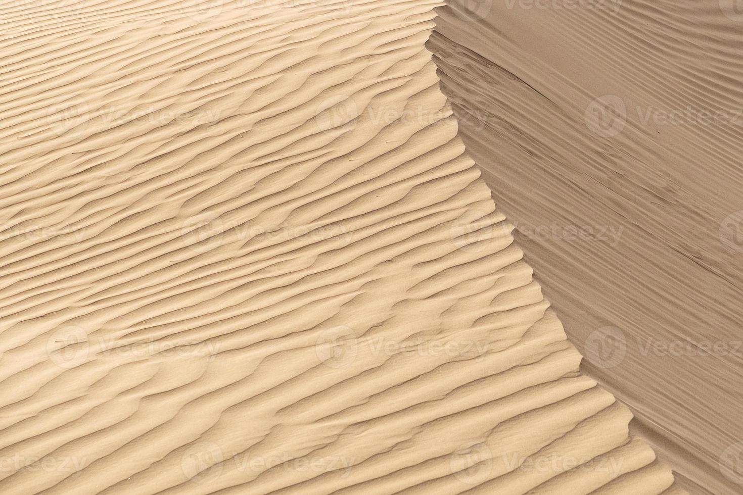 hermosa duna de arena en el desierto de thar, jaisalmer, rajasthan, india. foto
