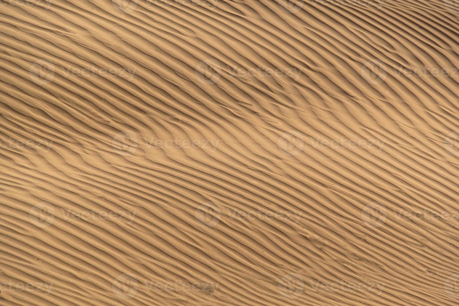 Beautiful sand dune in Thar desert, Jaisalmer, Rajasthan, India. photo