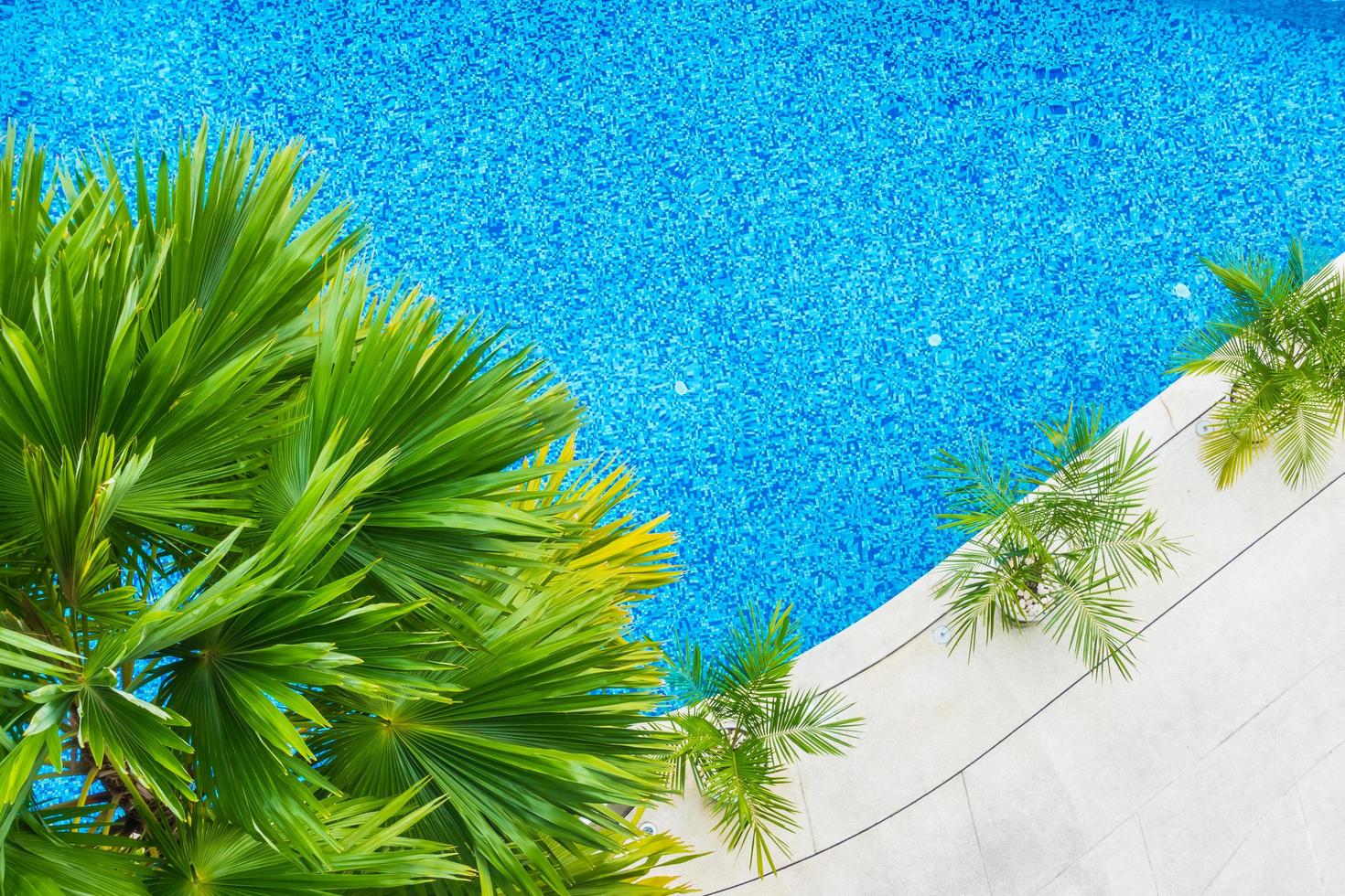 Beautiful luxury hotel swimming pool resort photo