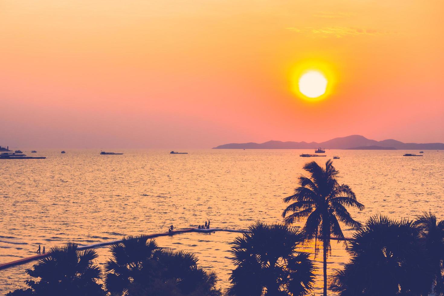 Silhouette palm trees photo