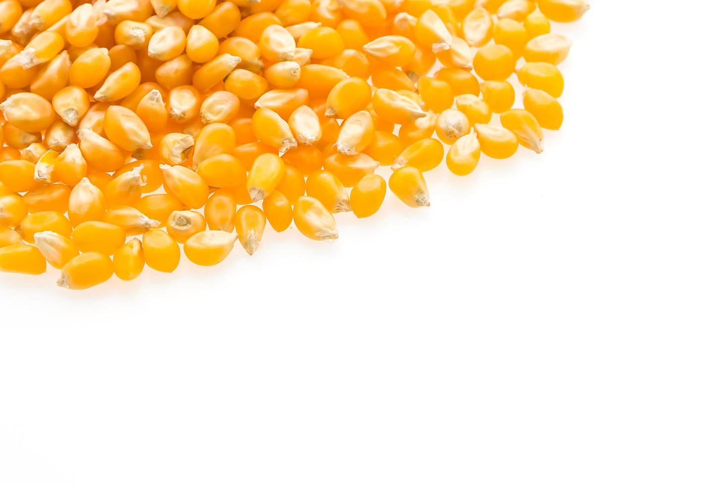 semilla de mazorca de maíz foto