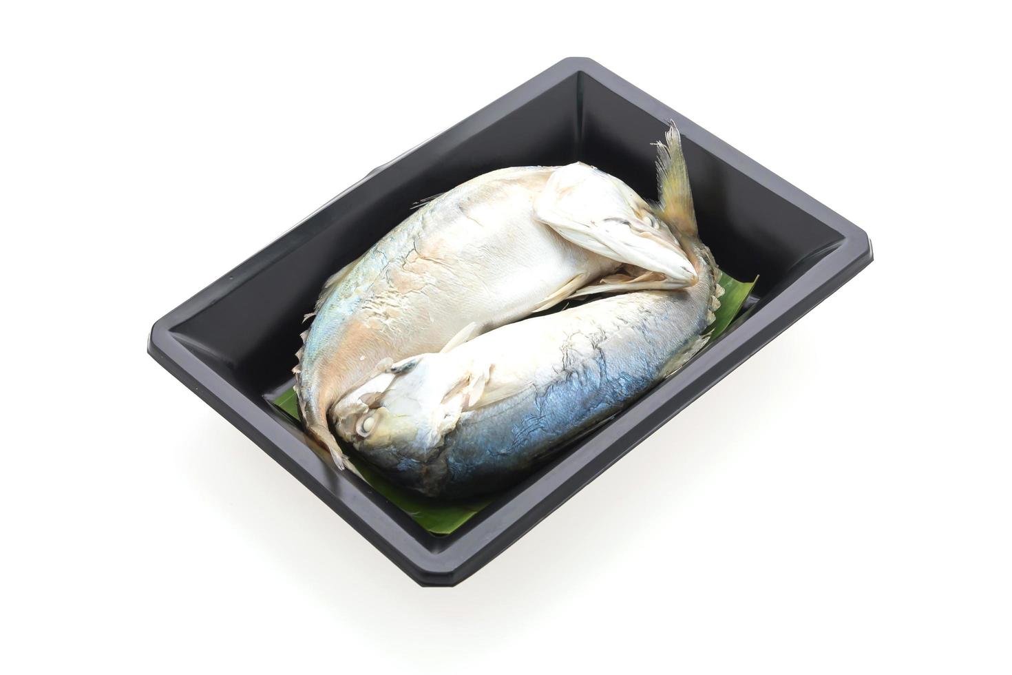 Mackerel fish isolated photo