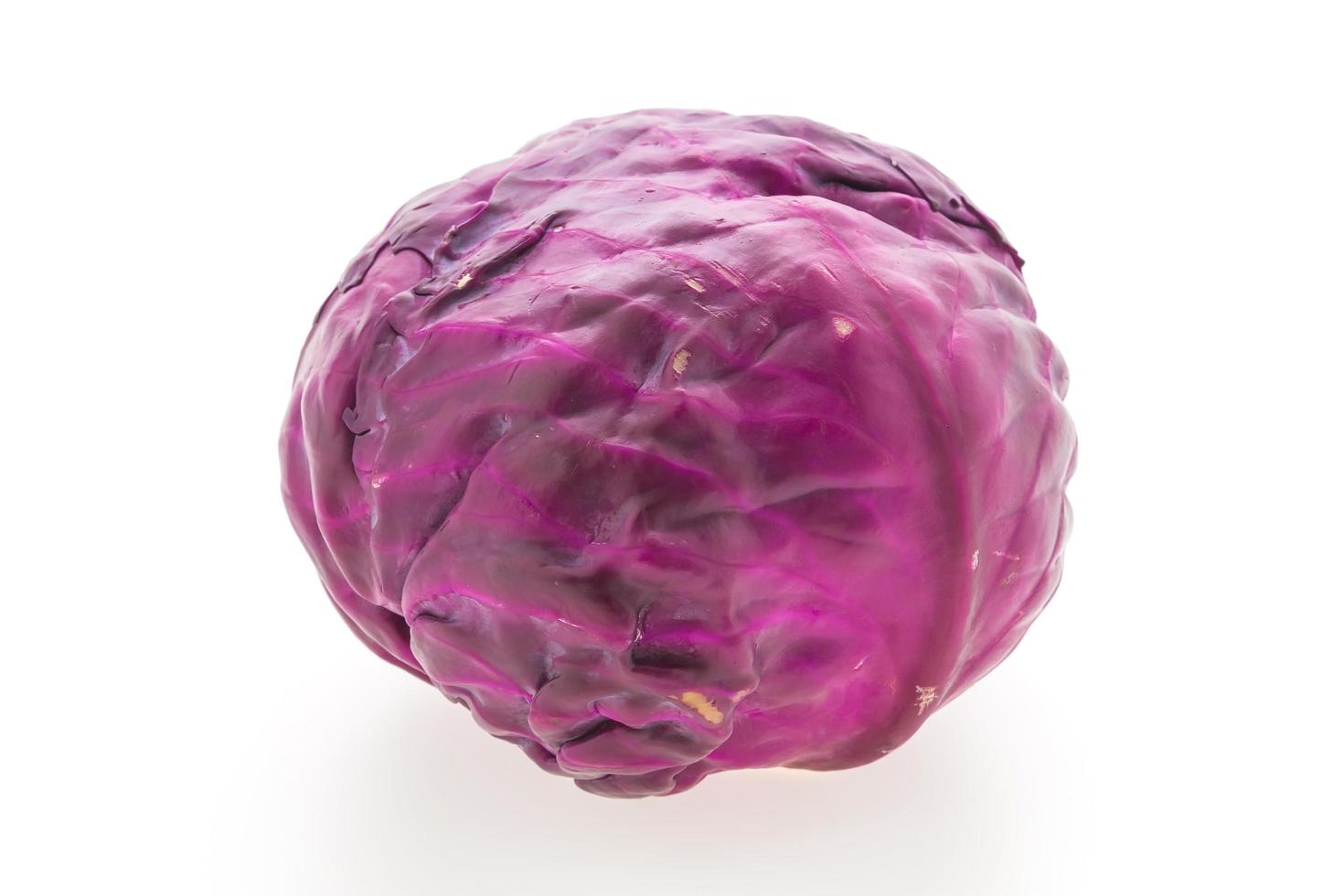 Purple cabbage on white background photo