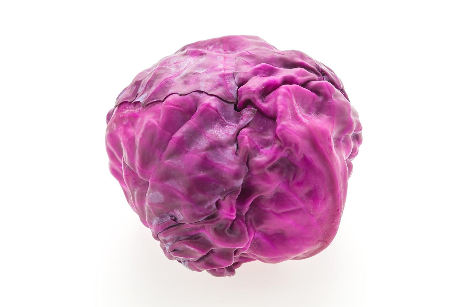 Purple cabbage on white background photo