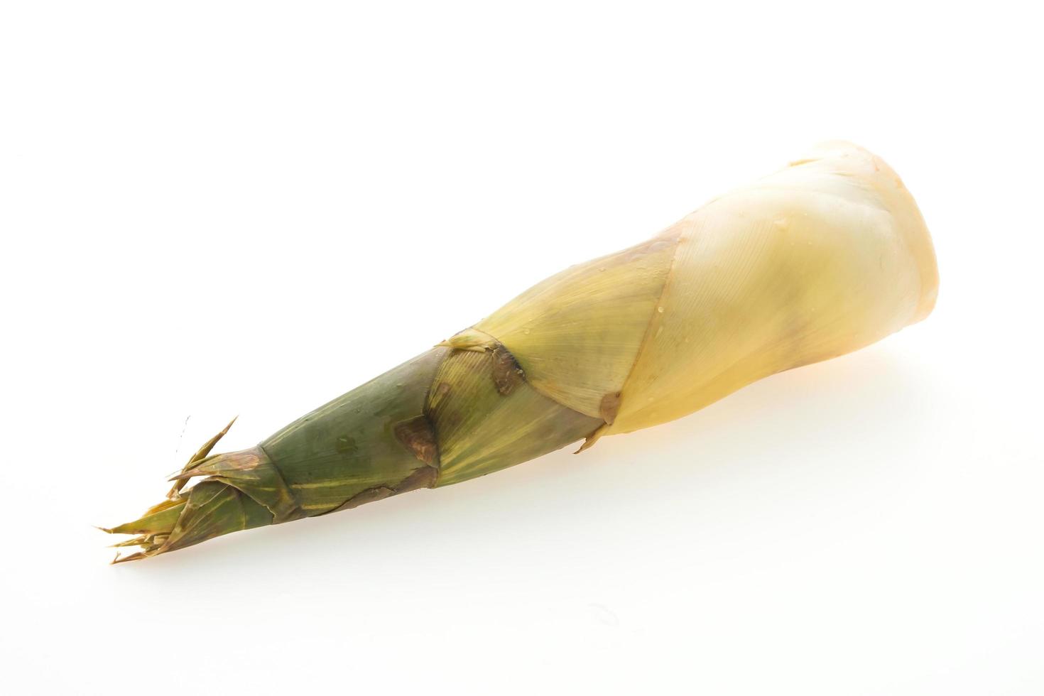 Bamboo shoot isolated photo