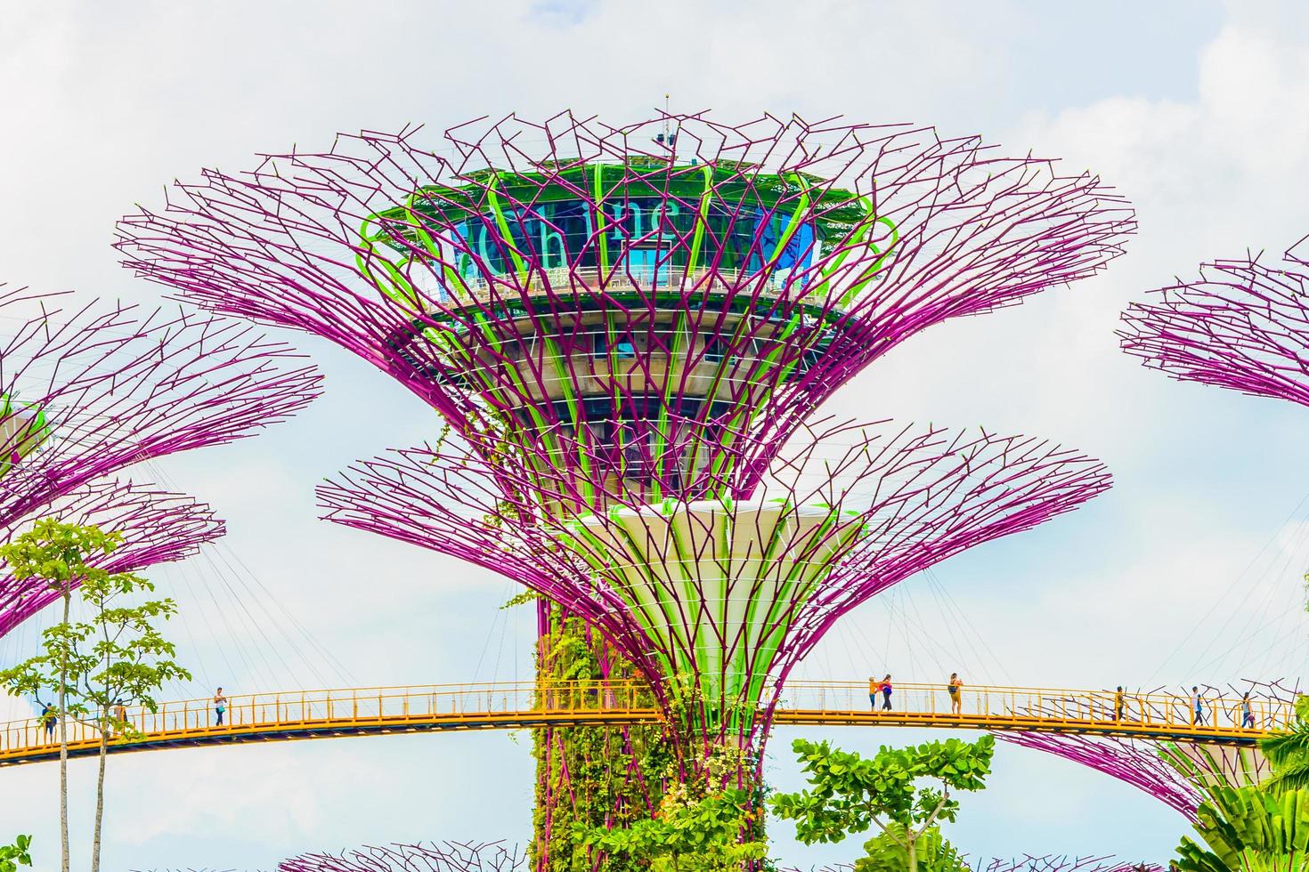 Garden by the bay photo