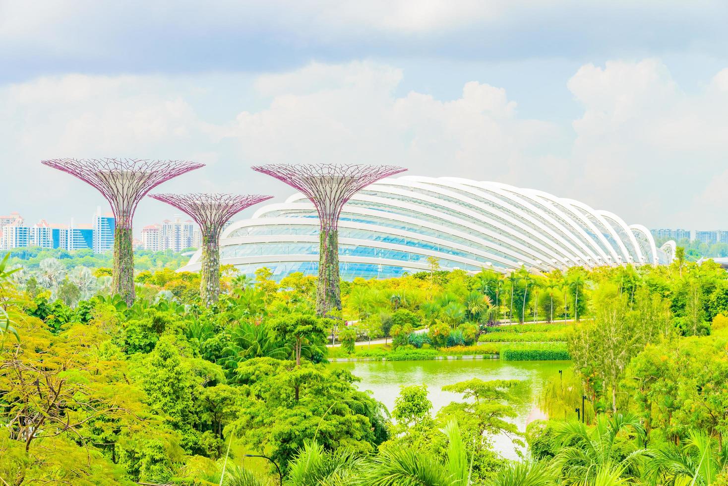 Garden by the bay photo