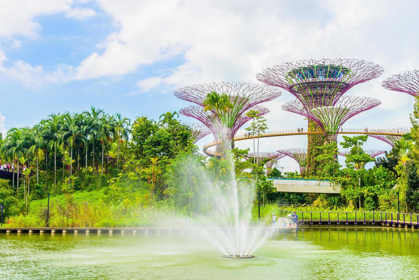 Garden by the bay in Singapore photo