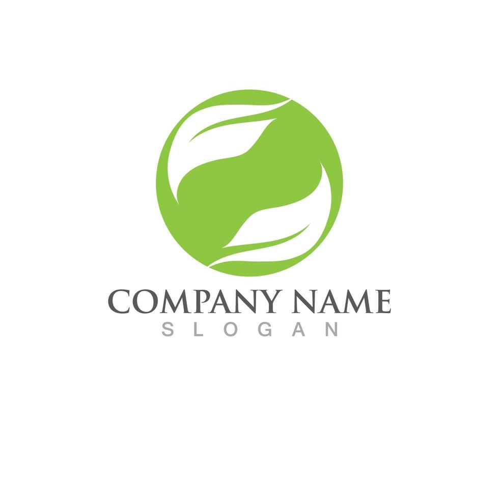 Logos of green Tree leaf ecology vector