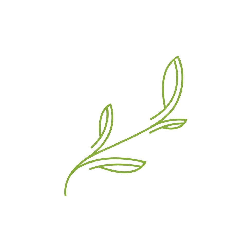 logotipo de la hoja de la naturaleza, plantilla de diseño vectorial vector