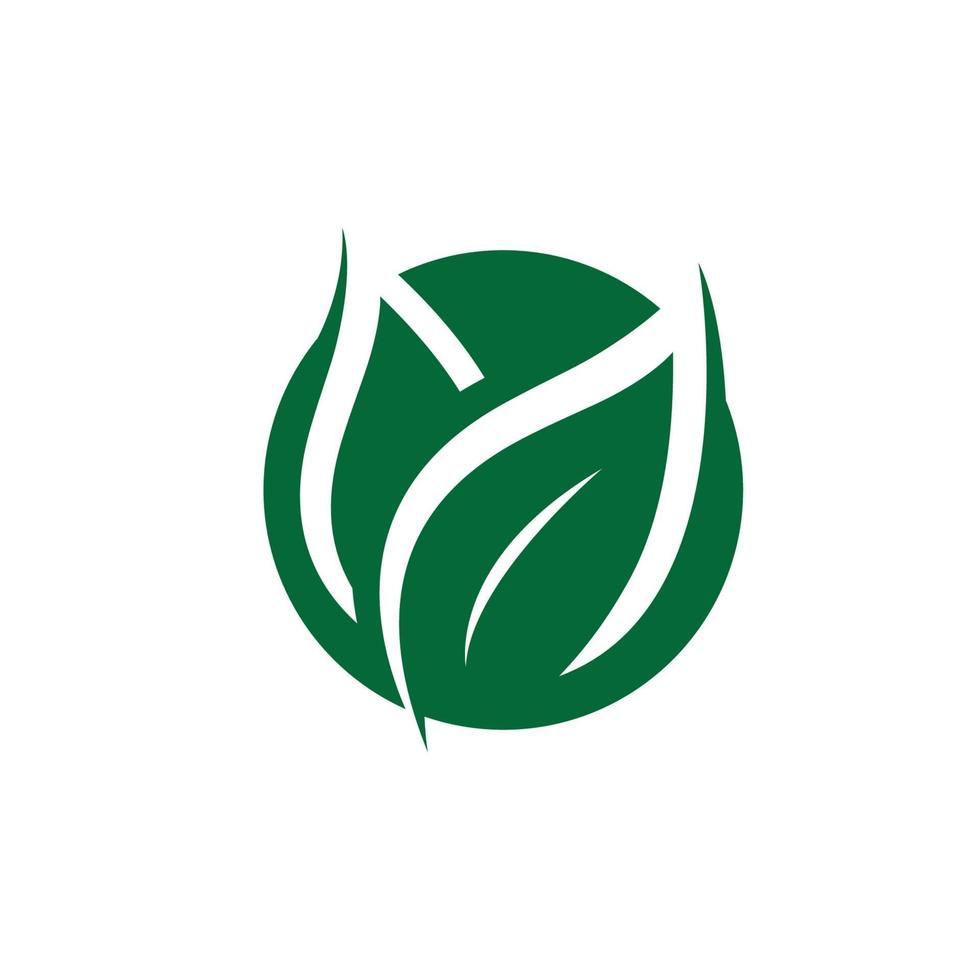 green leaf logo ecology nature vector icon