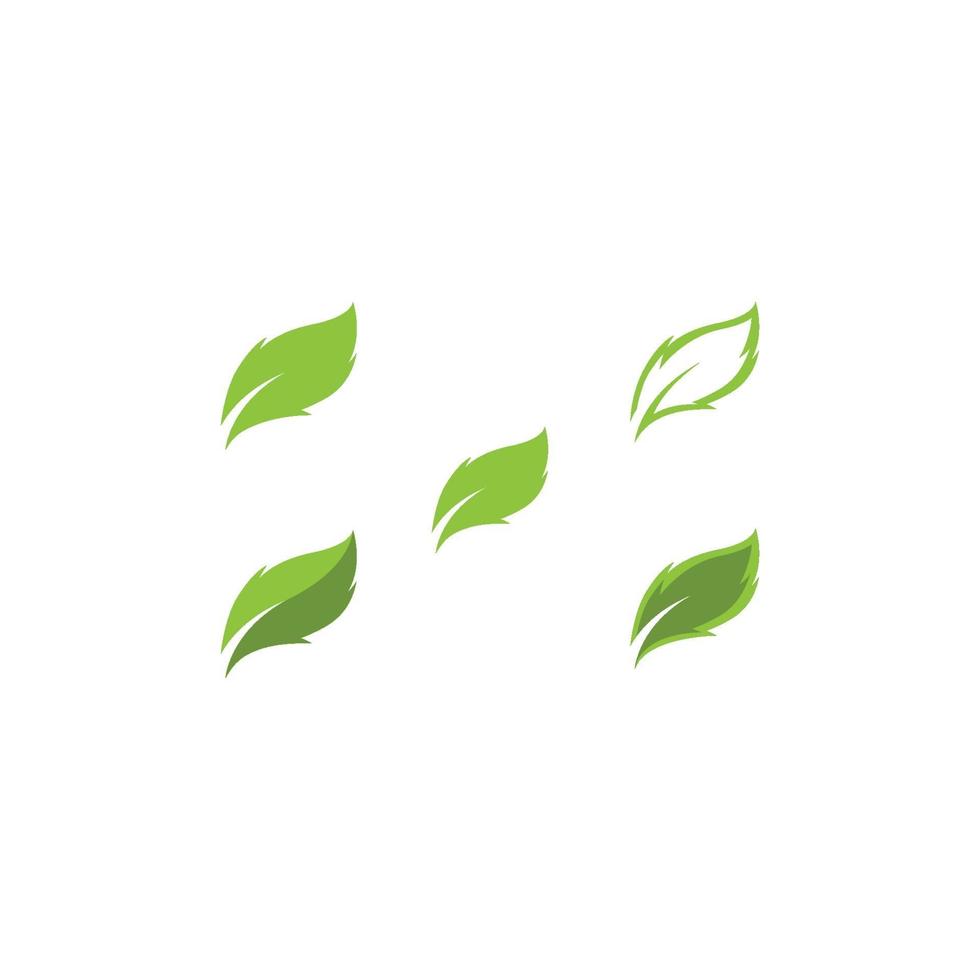 Logos of green leaf ecology nature element vector icon