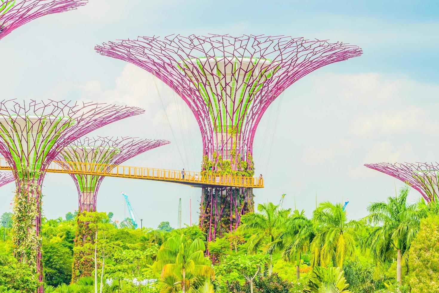 Garden by the bay in Singapore photo