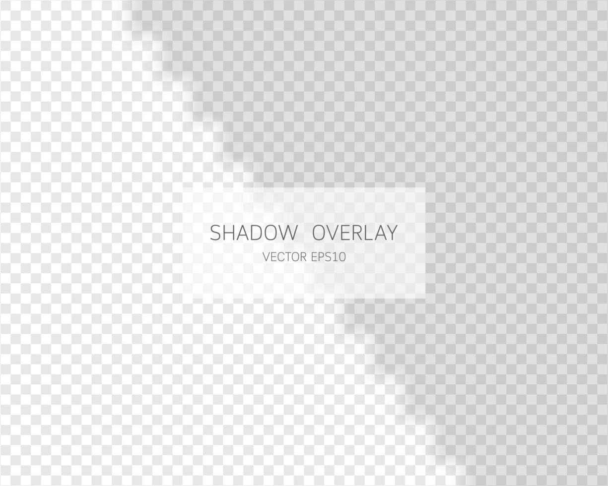 Shadow overlay effect. Natural shadows from window isolated on transparent background. Vector illustration.