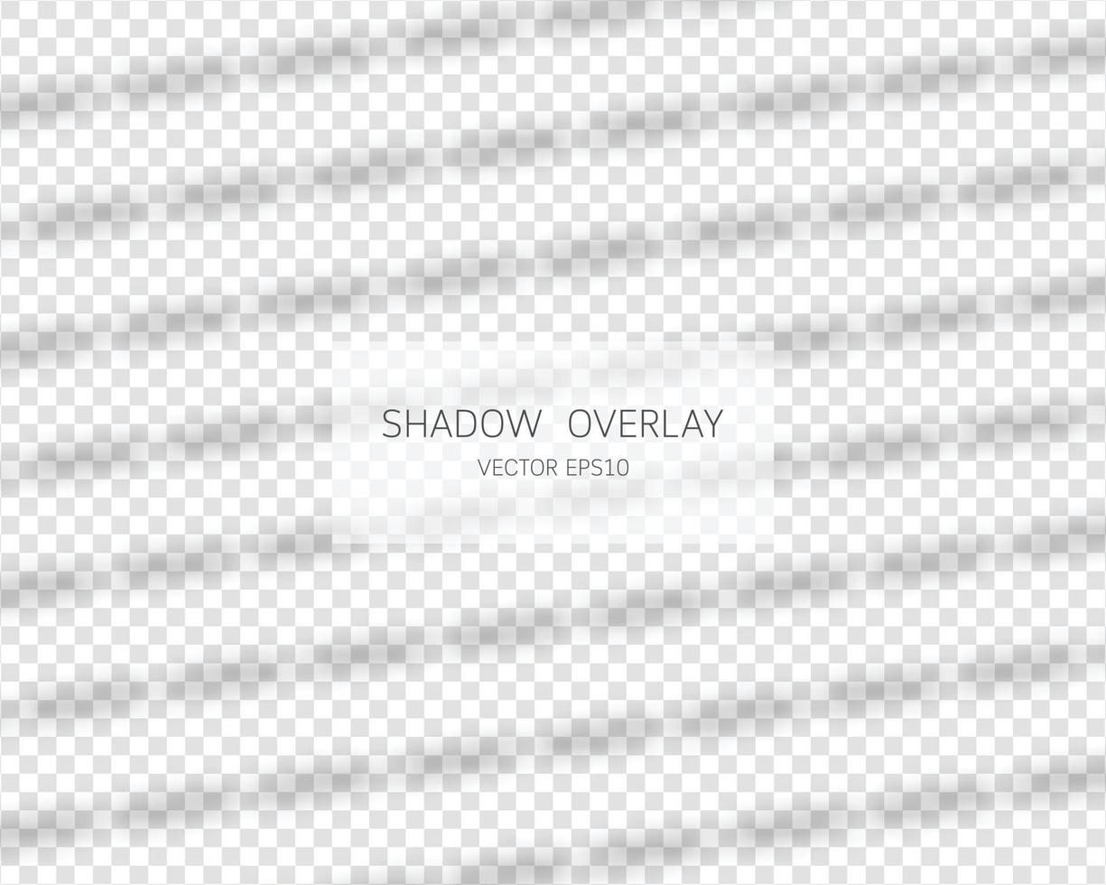 Shadow overlay effect. Natural shadows from window isolated on transparent background. Vector illustration.