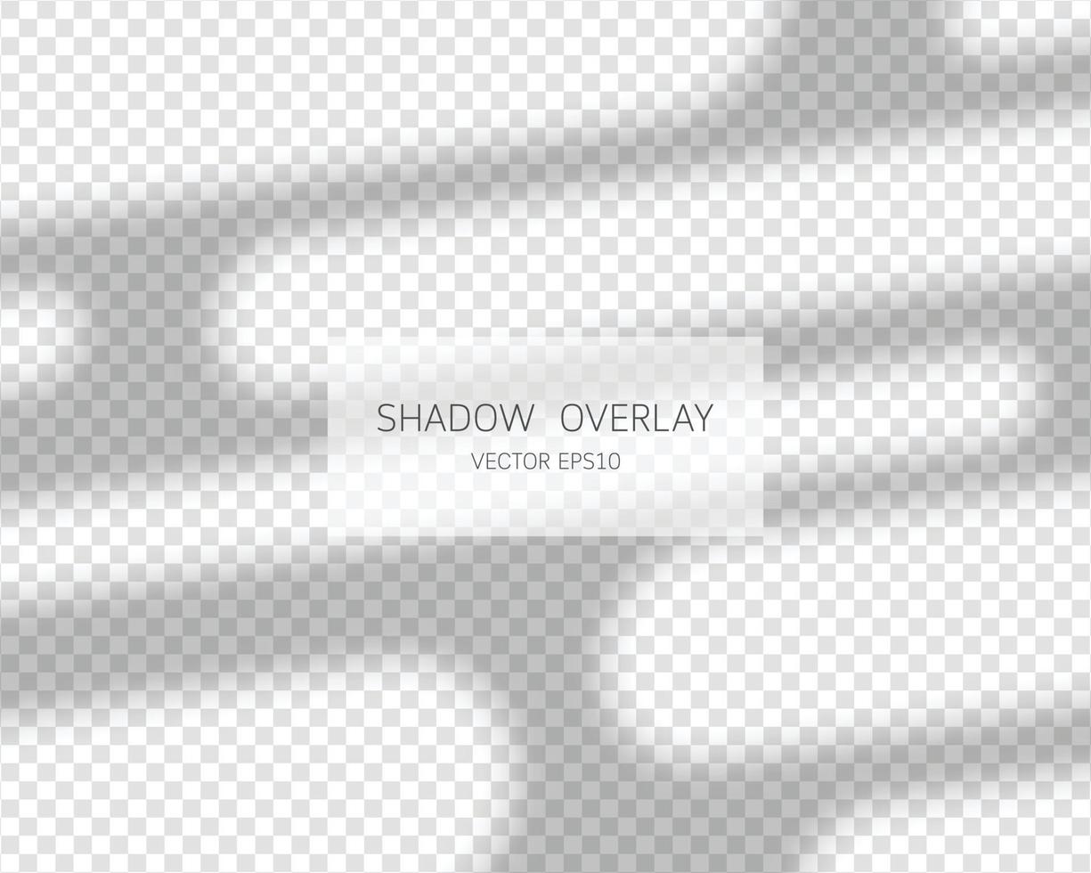 Shadow overlay effect. Natural shadows from window isolated on transparent background. Vector illustration.