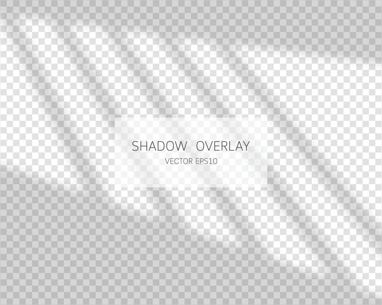 Shadow overlay effect. Natural shadows from window isolated on transparent background. Vector illustration.