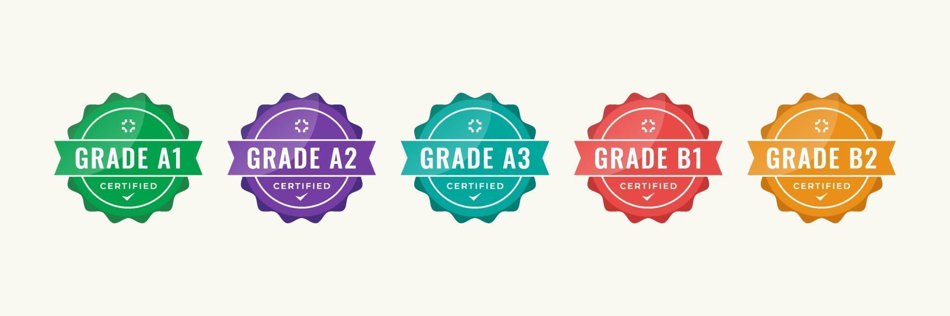 Certified badge logo design for company training badge certificates to determine based on criteria. Set bundle certify colorful vector illustration template.