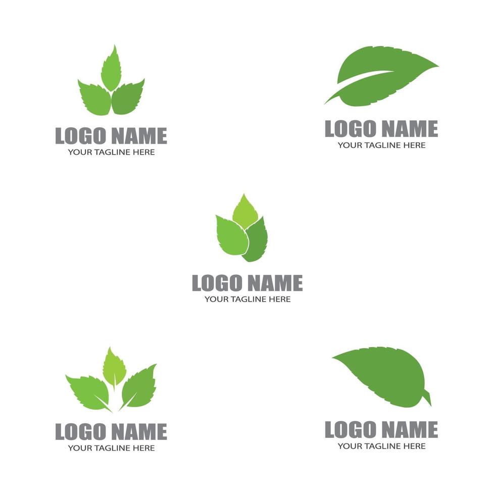 logos de hojas verdes vector