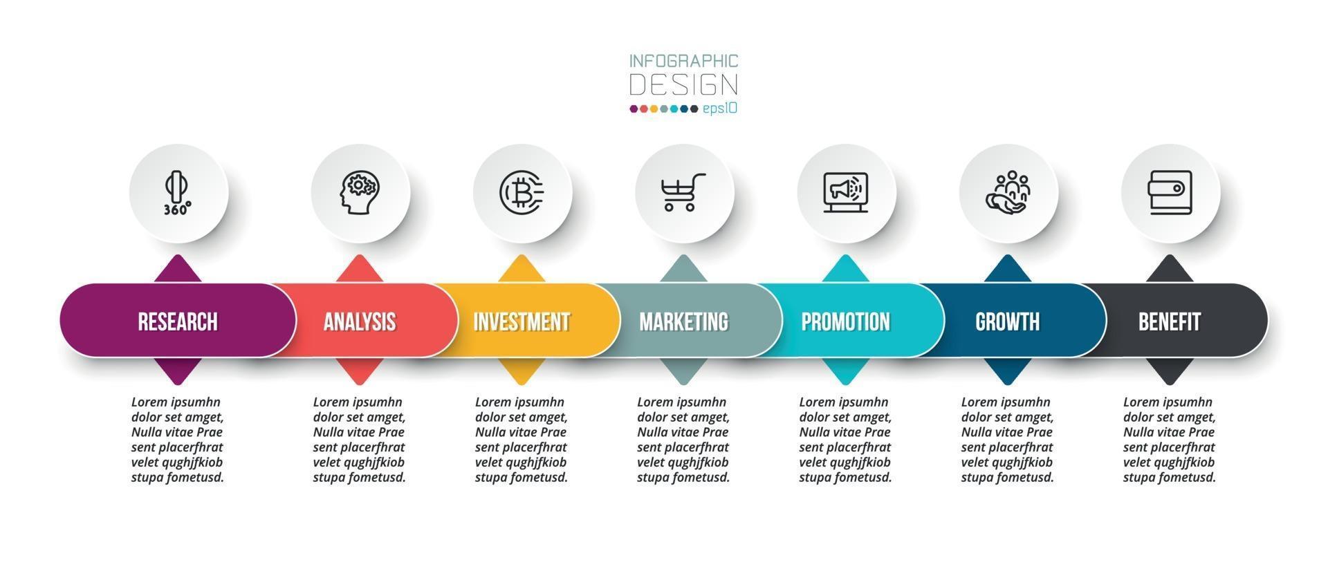 Business concept infographic template with option. vector