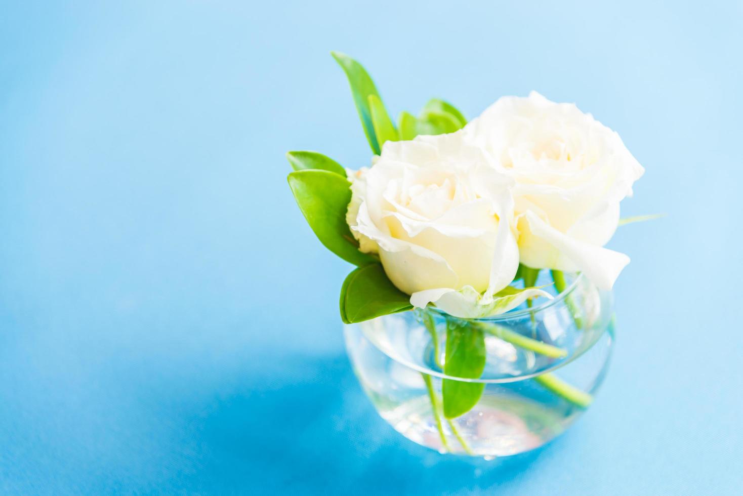 rosa blanca en florero foto