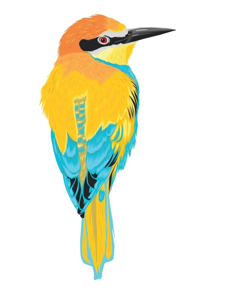 pájaro colorido realista aislado en blanco vector