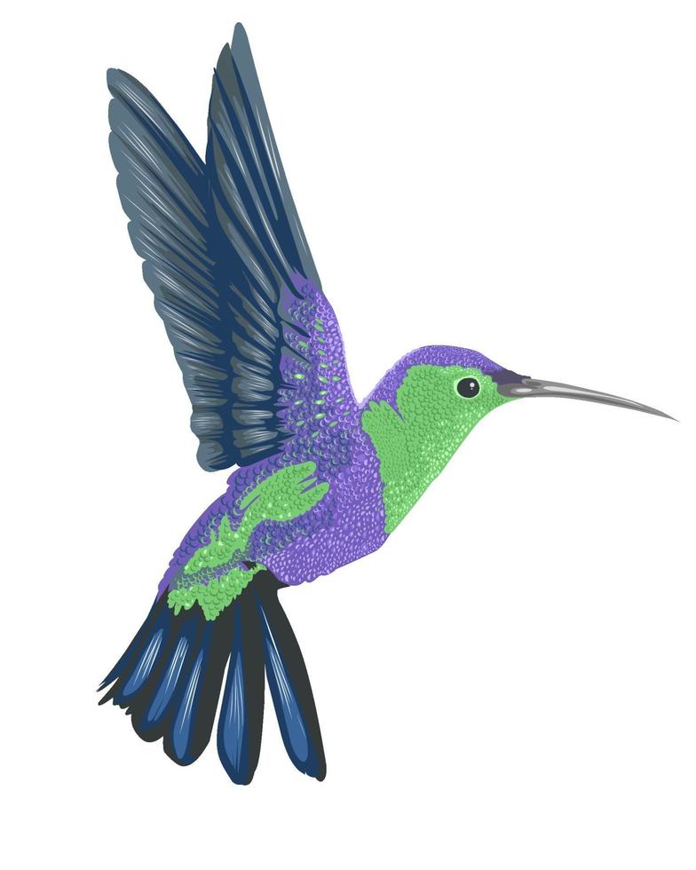 pájaro colorido realista aislado en blanco vector