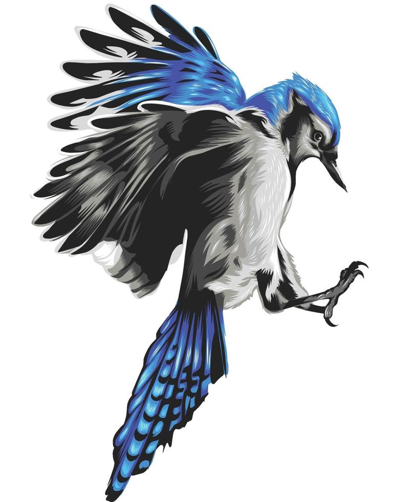 pájaro colorido realista aislado en blanco vector