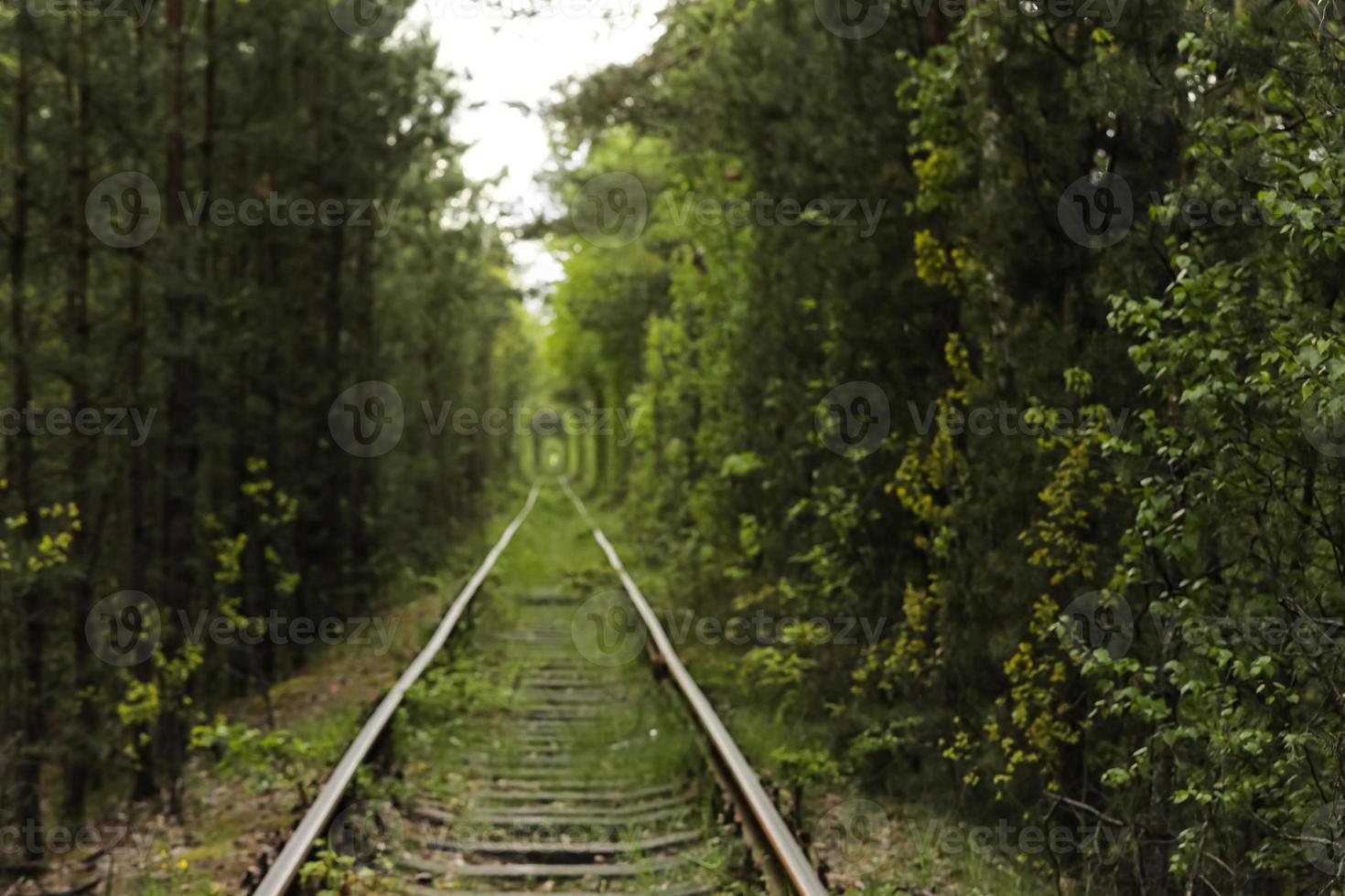 Train track through a green tunnel photo