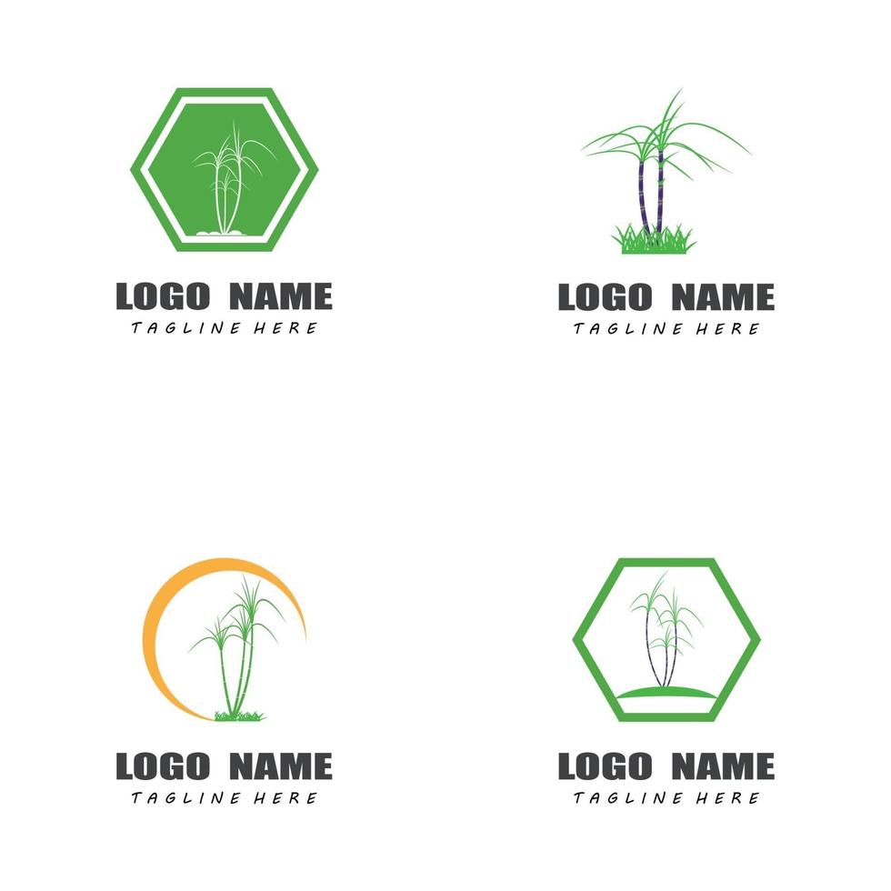 Sugar cane logo templates vector